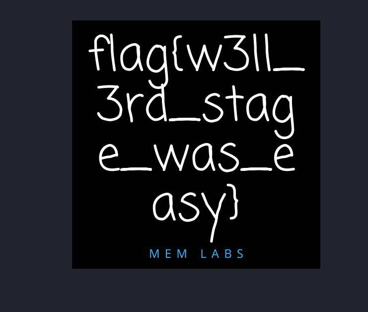 flag 3