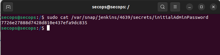Jenkins password