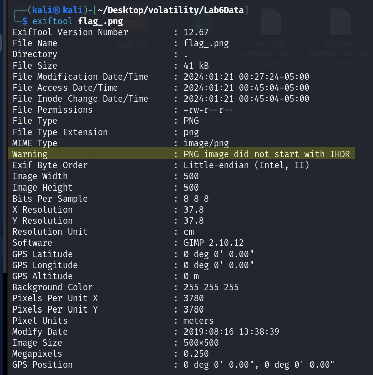 exiftool output